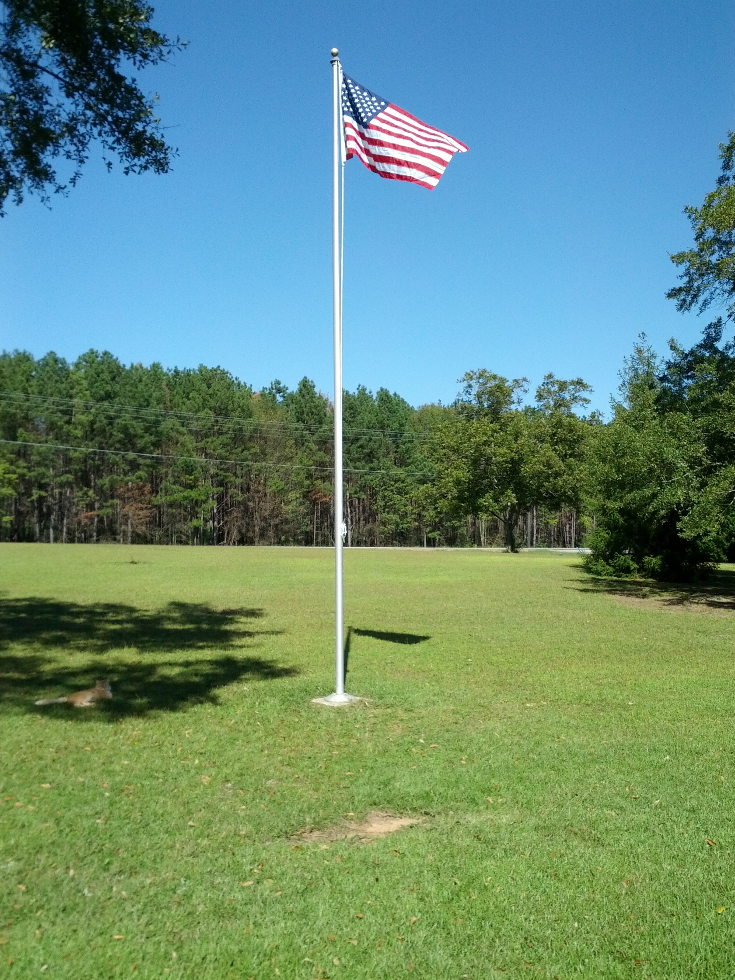 Waving proudly